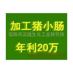 信陽市進出口代理與動漫游戲開發(fā) 融合供應鏈與創(chuàng)意產業(yè)的商業(yè)機遇